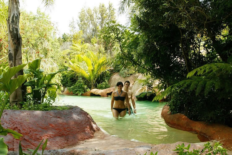 The Lost Spring